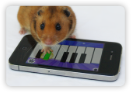 Harmonic hamsters and curious cats collide.