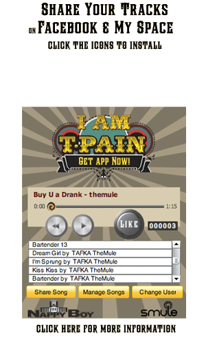 Tpain_widget_image